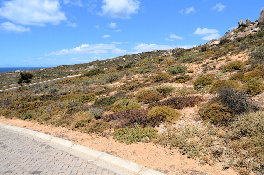 0 Bedroom Property for Sale in St Helena Views Western Cape